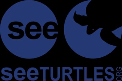 SEEturtles.org