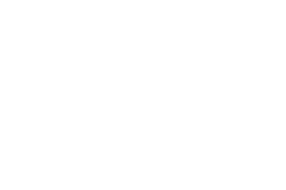 SEEturtles.org logo